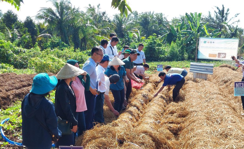 Đắk Lắk tăng cường kiểm soát ô nhiễm không khí trên địa bàn tỉnh cuối năm 2025 và các năm tiếp theo